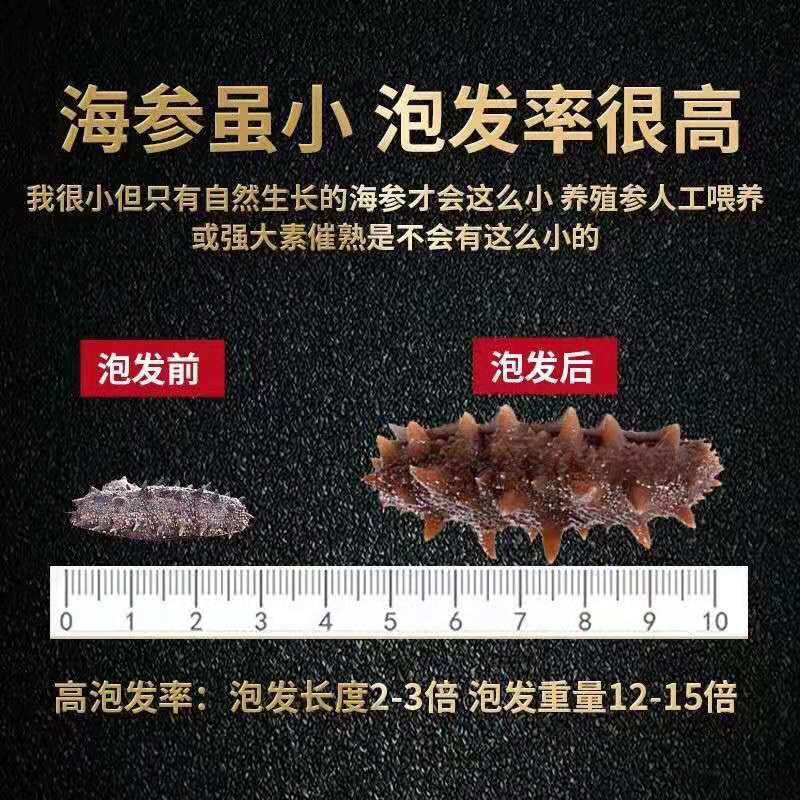 Dried Sea Cucumber Small Sea Cucumber Dried Sea Cucumber Dalian Seafood Dried Goods Small Sea You Buddha's Leap Ingredients Quick-Release Wild