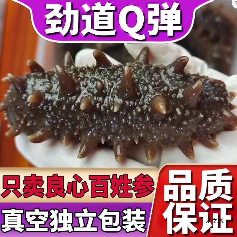Sea cucumber ready-to-eat Dalian Liao ginseng sea cucumber sea cucumber wholesale gift box gift tonic mixed batch AliExpress
