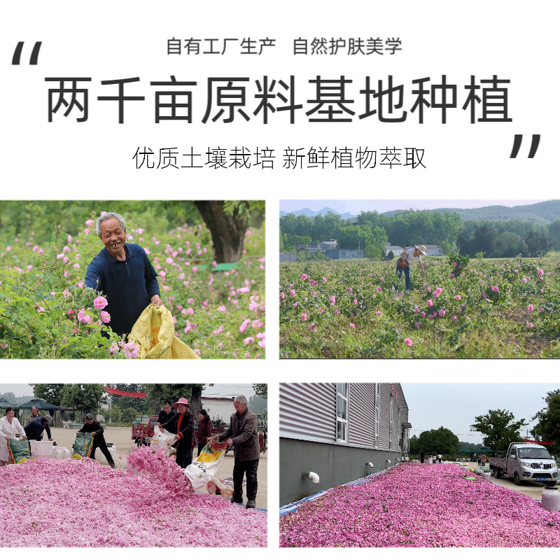 Damascena Rose Hydrosol Toning and Moisturizing Flower Water Wet Compress Spray Distilled Essential Oil Flower Liquid