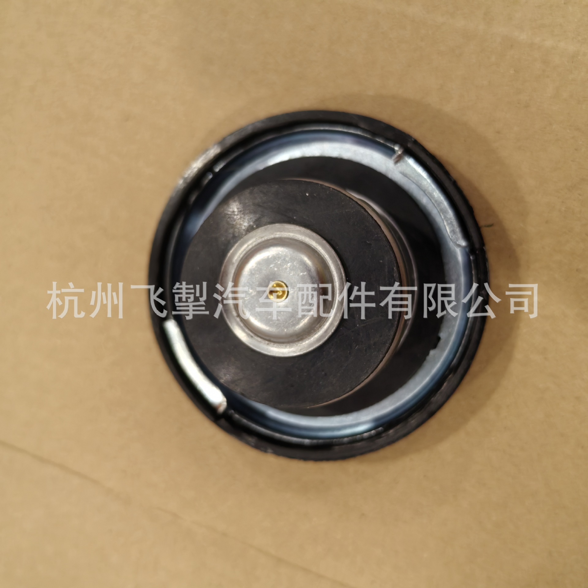 15075565 15066479 Water Tank Cover Fits for Chevrolet S10 Blazer