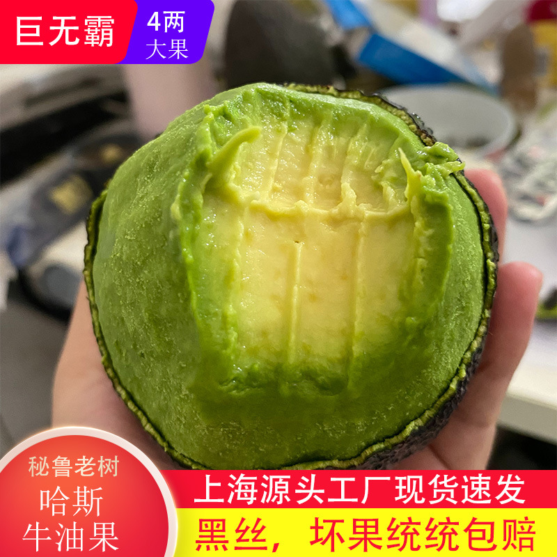 Peruvian Imported Hass Avocado Big Mac Hass Avocado Fresh Fruit Freshly Picked in Season Shanghai Spot Quick Delivery