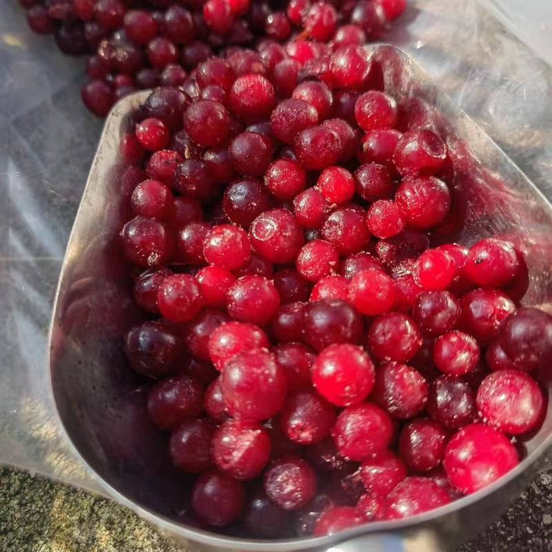 Cranberry Red Bean Accord Quick Frozen Fresh Fruit Fresh Fruit Jam Enzyme Low Calorie Meal Replacement Sf Cold Chain Free Shipping