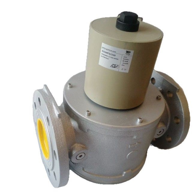 Shi Neng Gas Solenoid Valve Sg80Fq/220 Sg100Fq/220 Sg65F02Nt33 Sg80F02Nt33