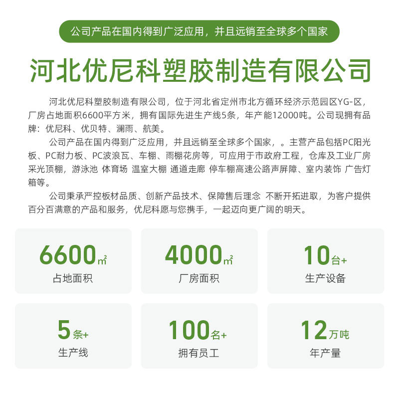 Sunlight board wholesale double layer Bayer PC board workshop transparent lighting board greenhouse partition plug board construction project