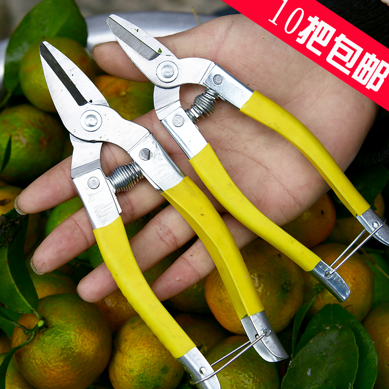 Pruning Shears, Flower Pruning Scissors, Branch Shears, Fruit Gardening Household Citrus Orange Knife, Grape Cutting Special Round Head and Small Mouth