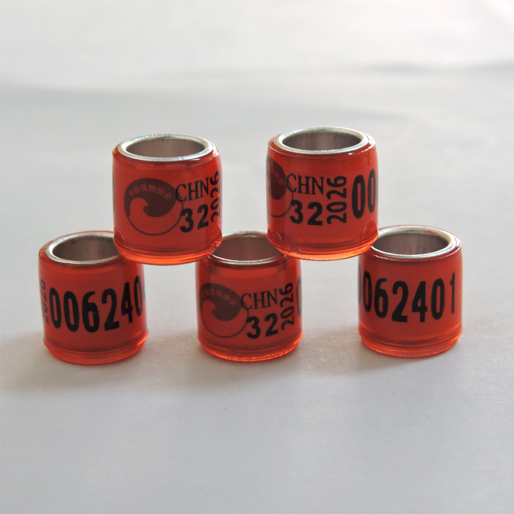 Pigeon Foot Rings 2026 Without Certificate Locomotive Colored Rings Homing Pigeon Foot Rings Racing Pigeon Rings Pigeon Ring Foot Ring Supplies and Equipment