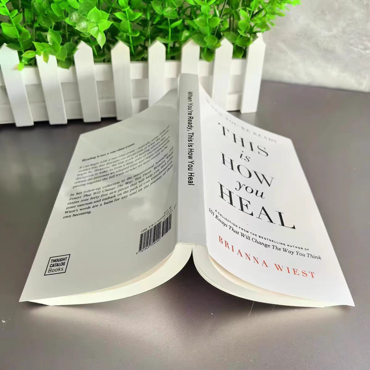 When You Are Ready, This Is How You Heal