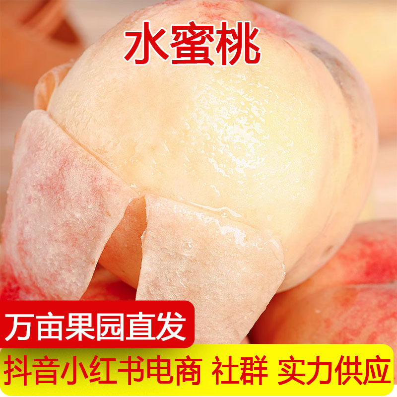 Свежий фрукт, собранный прямо с дерева, весенний снег, золотой персик