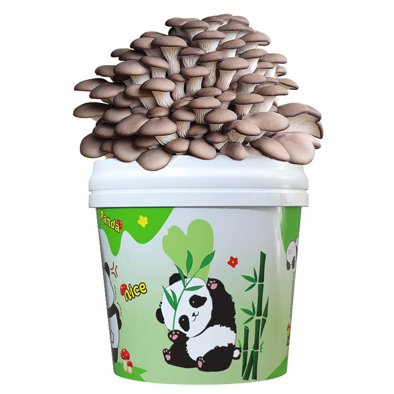 Mushroom Potted Planting Barrel Balcony Kidsren's DIY Pleurotus Culture Edible Fungus Bag Box Stick Home School