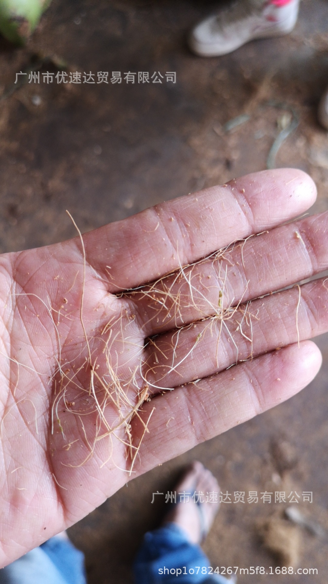 Pulp Supply coconut shell fiber for papermaking and pulping plant fiber raw materials for papermaking wood pulp