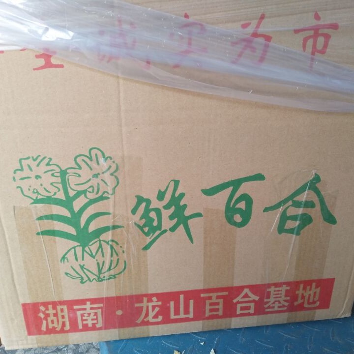 Hunan Lily Longshan Dried Lily Wholesale, New Arrival in 2025, Bulk, Large Quantity Discounts!