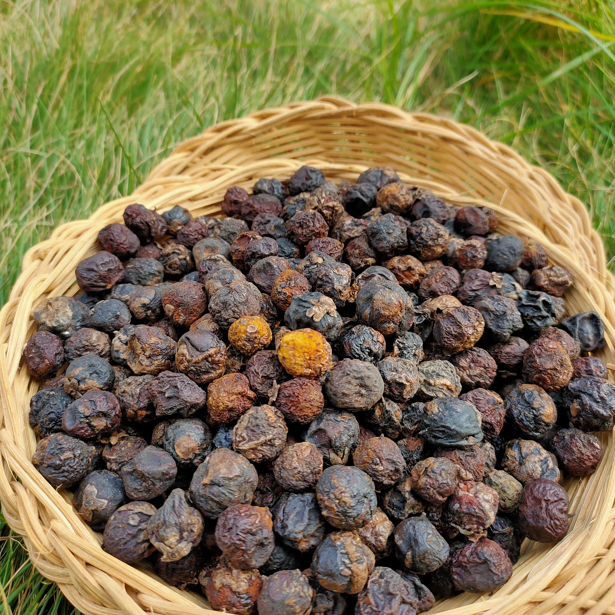 Wild Dried Loquat 2023 Fresh Sun-Dried Hengyang Farm Produce for Cough Relief Tea 0.5kg Packs