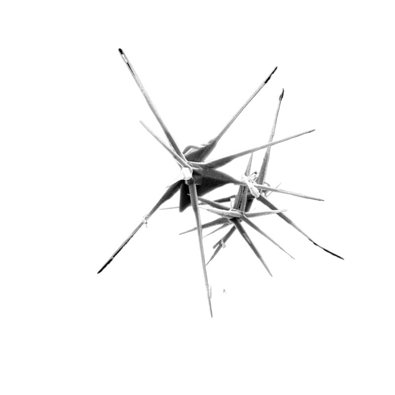 [Southwest Jiaotong University] Direct Sales of Four-Pronged Oxidizing Whiskers, Antibacterial, Anti-Mold, and Formaldehyde-Removing Active Zinc Oxide