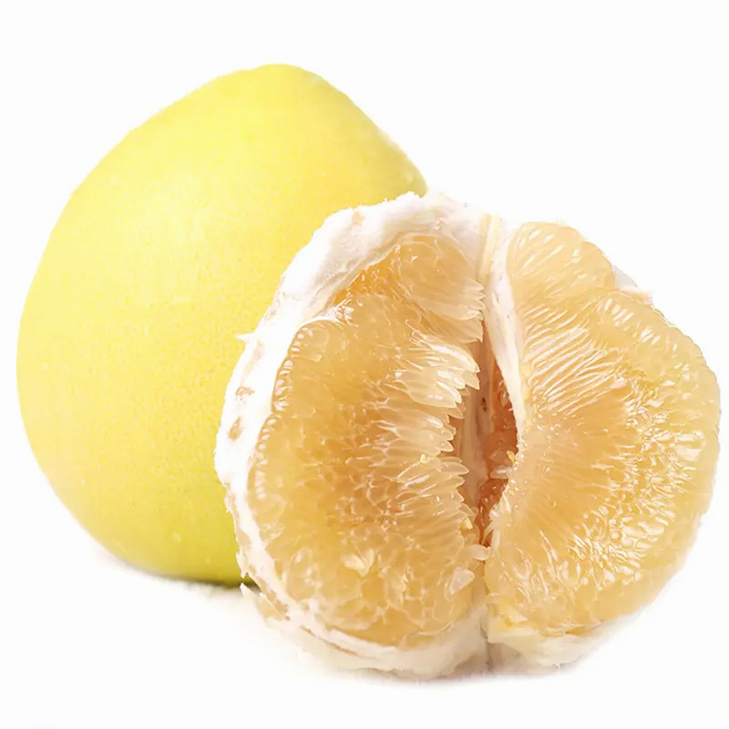 Dropshipping Yuhuan Wendean Pomelo Saplings for Planting in Northern and Southern Gardens, Extra-Large Fruit Potted Grafted White Heart Pomelo