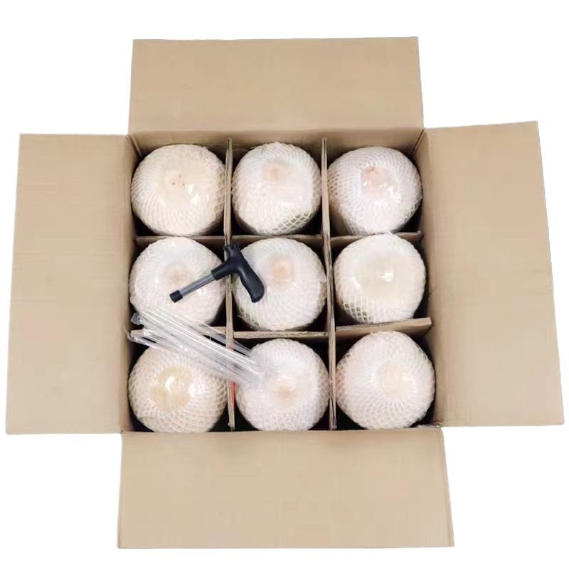 Ll Help Farmers Hainan Wenchang Coconut Green 9 Pack Fresh Coconut Pregnant Women Fruit Coconut Juice Meat Peeled Whole Box