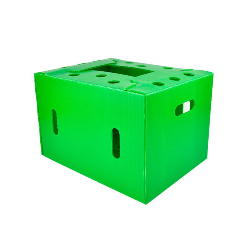 Cabbage packing box waterproof tide color stone plastic hollow board box Foreign Trade special transport water fruit and vegetable cabbage packing box