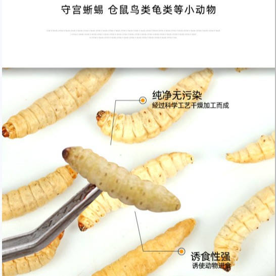 Freeze-Dried Honey Worm, Grape Worm, Corn Worm, Free Shipping, Bird Food, Sugar Glider, Embroidered Eye Hamster Feed, Gecko Snack Feed