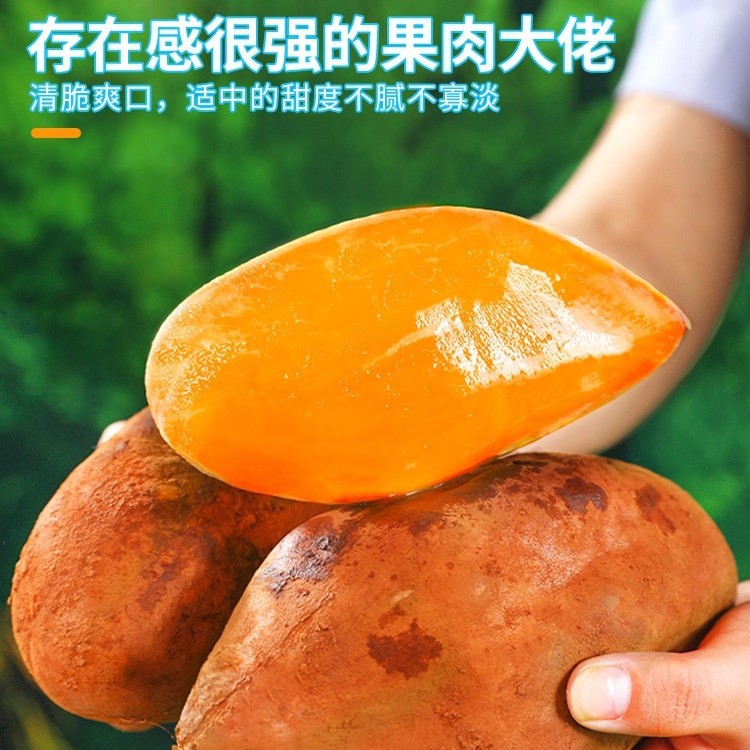 Tianshan Snow Lotus Fruit 6kg Fresh Fruit in Season Yunnan Pregnant Women Red Heart Snow Lotus Fruit Yellow Heart Whole Box Direct Sales