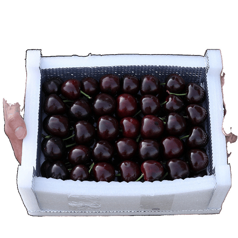 Shandong Big Cherry Meizhao Jin Yantai Cherry Fresh Fruit Seasonal Sf Free Shipping Jin Pack Gift Box