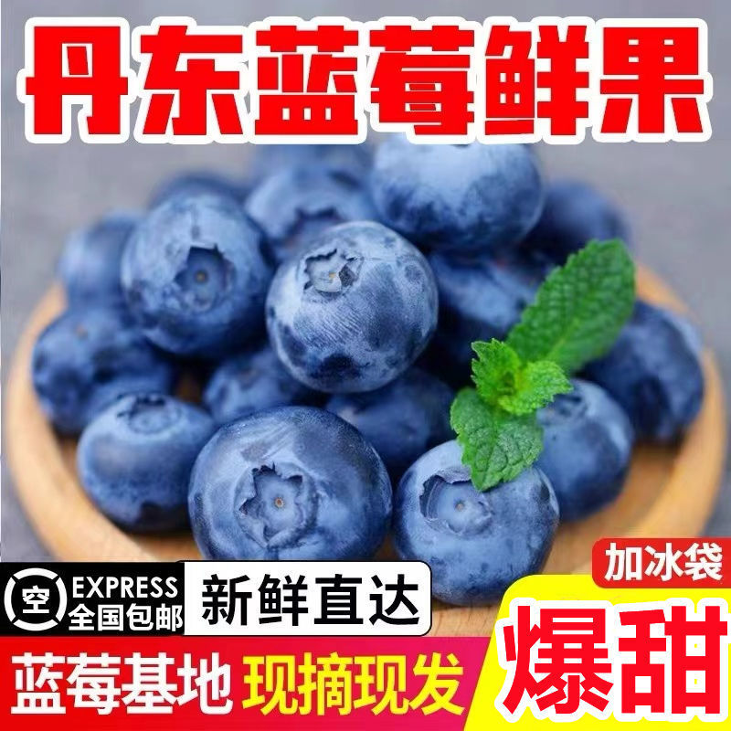 Sf Cold Chain Blueberry Fresh Dandong Large Blueberry Non-Yunnan Yikeberry Baby Auxiliary Blueberry Fresh Fruit