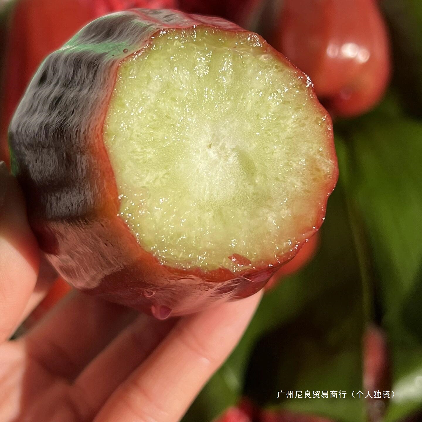 Authentic Hainan Black Diamond Lotus Mist Fruit 2.5kg Fresh Seasonal Fruit Whole Box with Mist for Pregnant Women Free Shipping