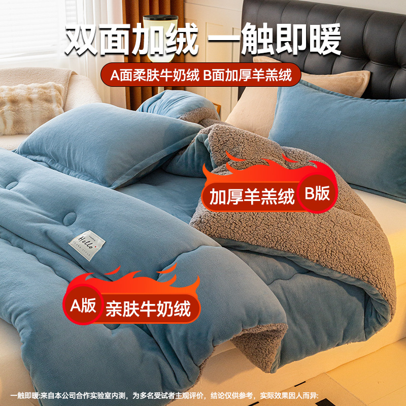 Winter Lamb Velvet Quilt Student Dormitory Thickeneded and Warm 2025 New Four-Season Universal Double-Sided Velvet Winter Quilt Core
