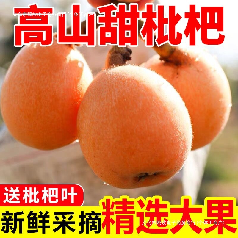 Fresh Seasonal Loquat Fruit from Miyi, Sichuan, Large Five-Star Loquats, Mountain-Grown Sweet Loquats Wholesale