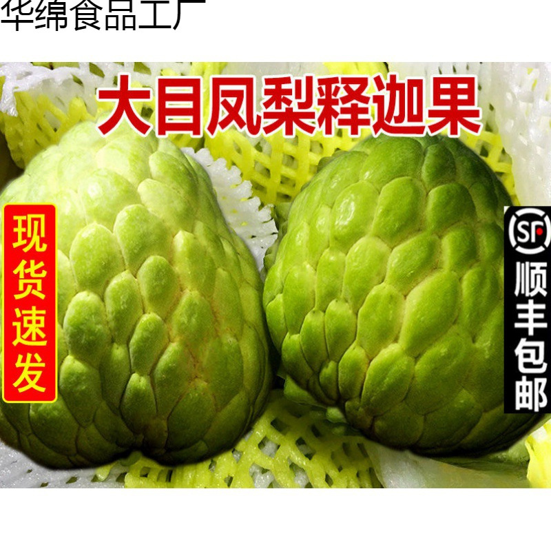 Большеглазый Молочный Ананас Кустарниковое Яблоко Свежий Сезонный Фрукт Большие Фрукты Фрукт Будды 1 до 2.5кг