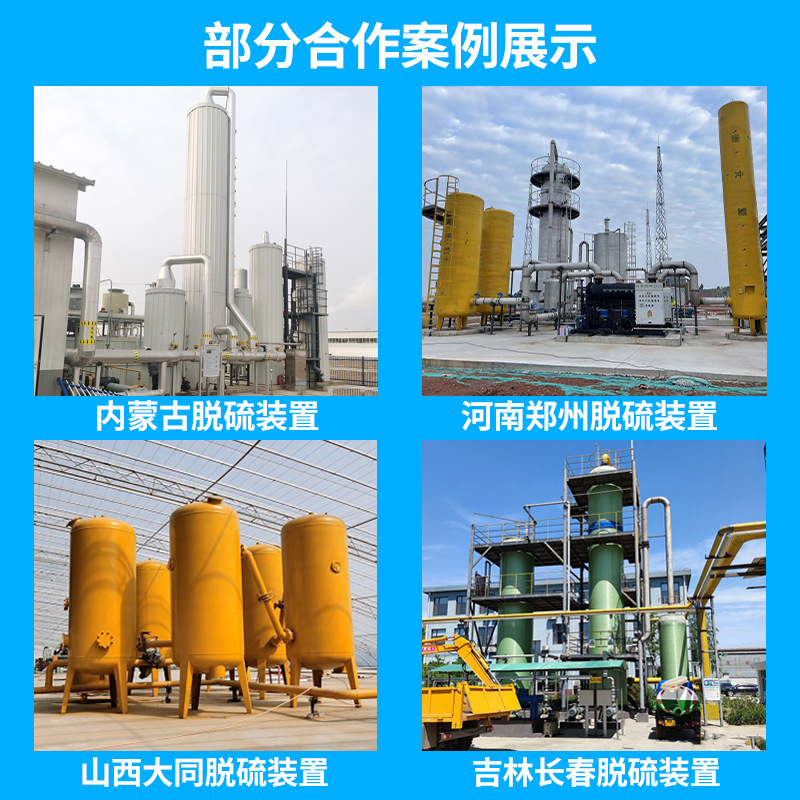 Biogas Desulfurization Purifier, Exhaust Gas Treatment Equipment, Desulfurization Tower, Biogas Deodorization, Anti-Corrosion, Dehydration and Desulfurization Tank Equipment
