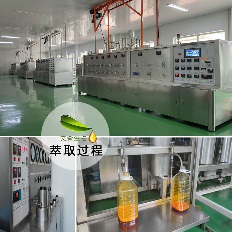 Ganoderma Lucidum Spore Oil Soft Capsule Ganoderma Lucidum Extract 500Mg Sanxiang 28% Health Care Product Raw Material Manufacturer Supercritical