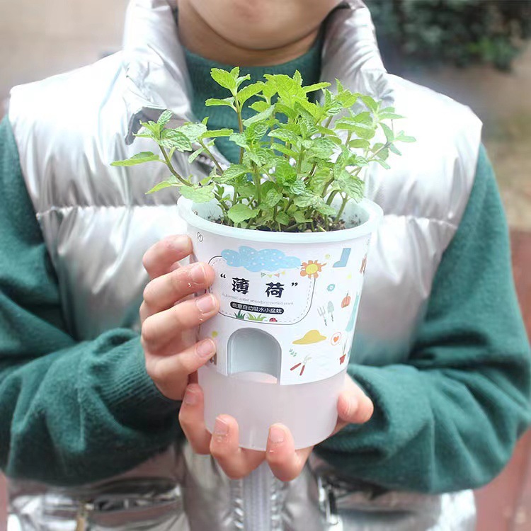 Kindergarten Children's DIY Milk Tea Cup Potted Plant Planting Toys Creative Gift for Students Lele Desktop Potted Plant Gift