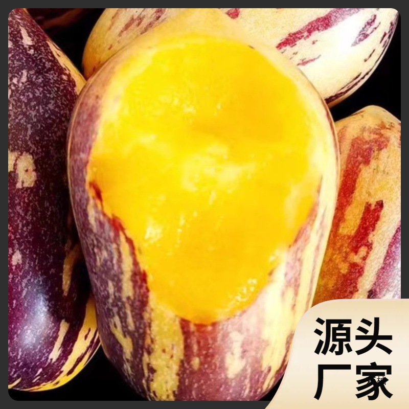 Свежая коробка гinseng Fruit из Ганьсу, бесплатная доставка, крупные длинные фрукты