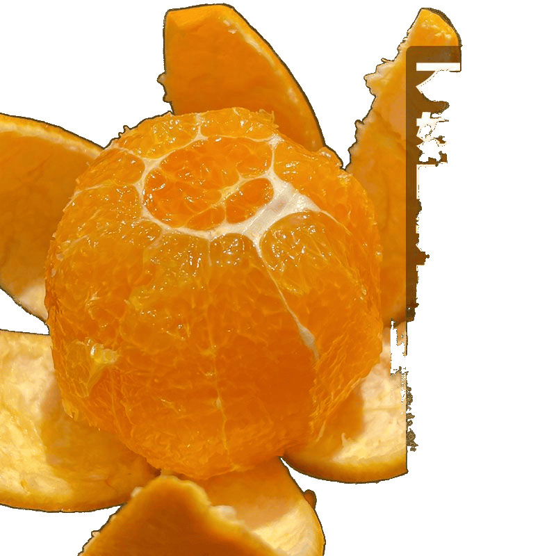 Sf Express Color Box Authentic Late Season Navel Oranges Fresh Sweet Navel Oranges Whole Box Wholesale Thin Skin One Piece Free Shipping