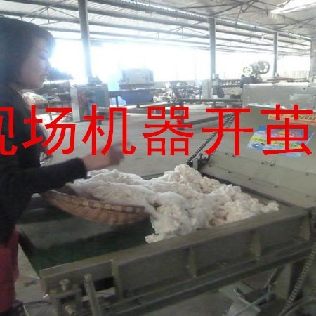 Wholesale Raw Materials for Tussah Silk Cocoon, Tussah Silk Dry Cocoon, On-Site Cocoon Opening Machine, Natural Handmade Premium Silk for Silk Quilts