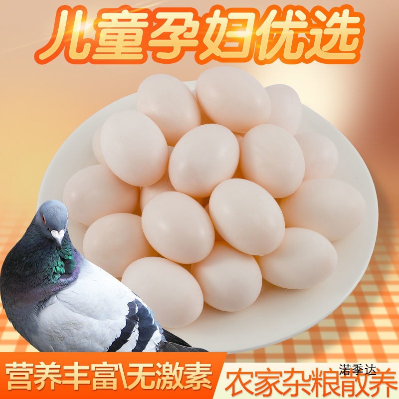 Pigeon Eggs, Fresh White Homing Pigeon Eggs, Farm Grains and Free-Range Eggs, 10-30 Pieces for Pregnant Women and Babies