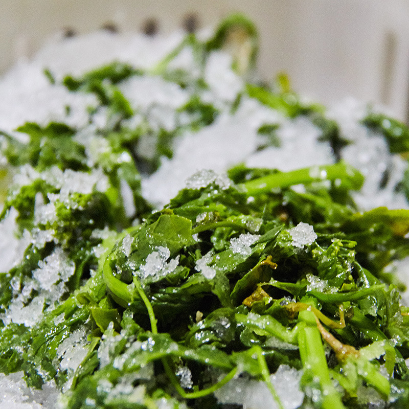 1kg Frozen Shepherd's Purse Fresh Quick-Frozen Wild Vegetable Shepherd's Purse Stuffing Wonton Dumpling Stuffing Shepherd's Purse Ingredients Frozen Shepherd's Purse