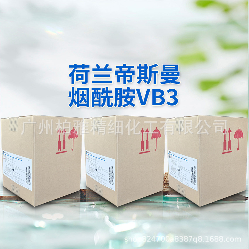 Netherlands Dsm Niacinamide Vb3 Vitamin B3 Whitening Anti-Wrinkle Rejuvenation Brightening Blemishes Starting from 1kg