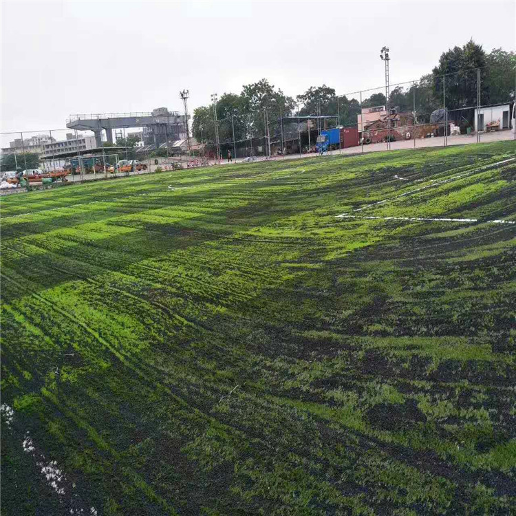 Filler Grass Pellets, High-Temperature Resistant Lawn Filler Pellet Material, Rubber Pellets, Environmentally Friendly and Durable, Football Lawn Pu