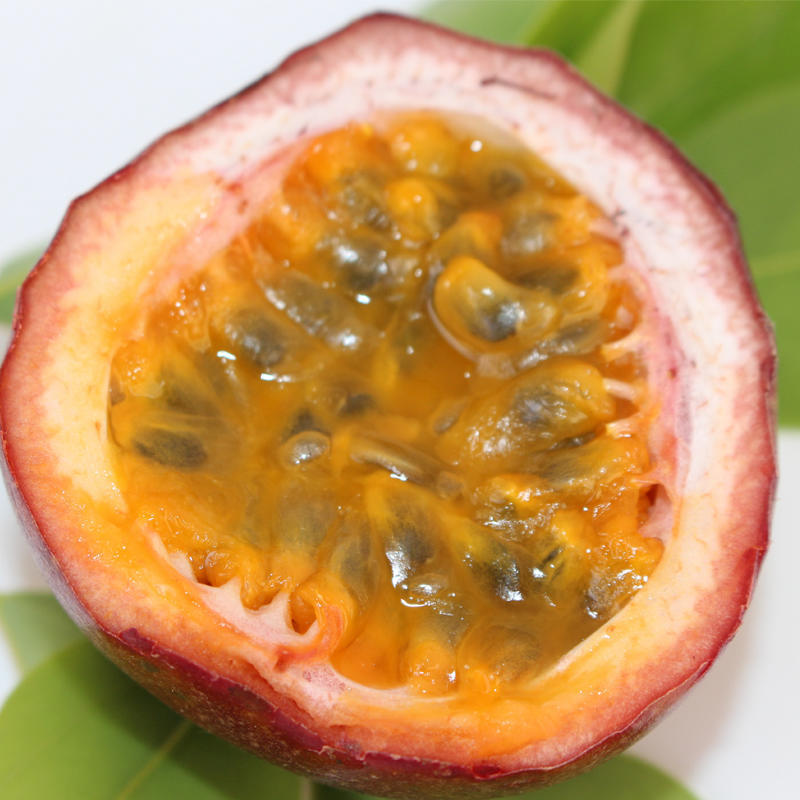 Purple Passion Fruit (Will Have Wrinkled Skin) Tropical Fruit Orchard Straight Purple Passion Fruit Drop Shipping