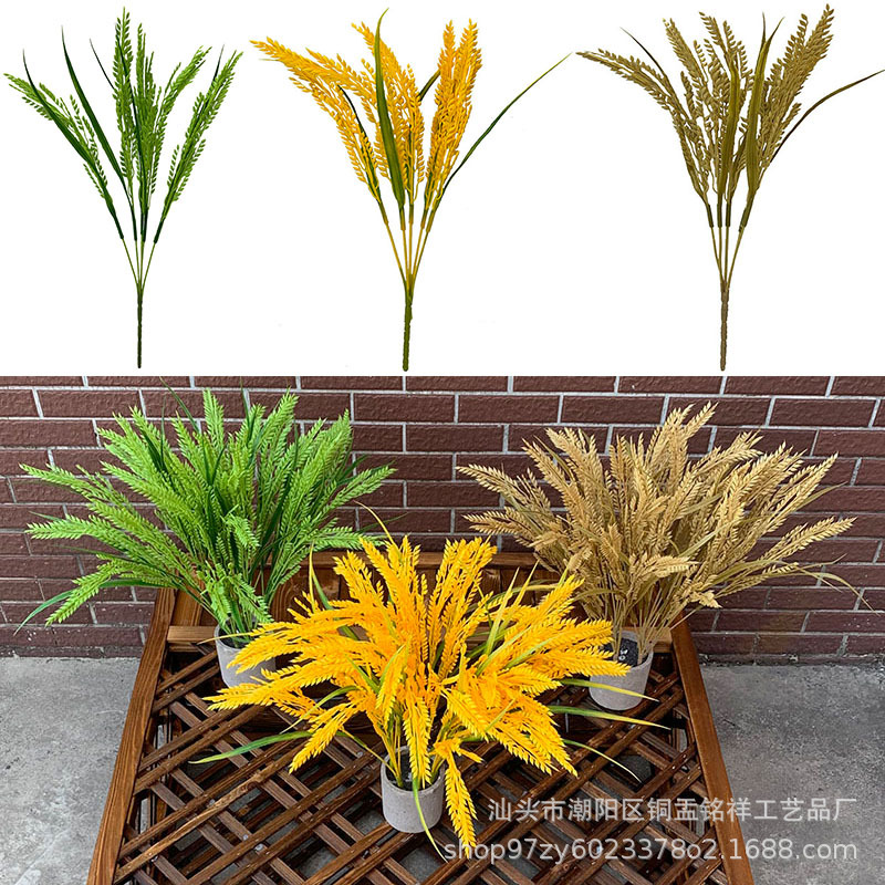 Имитация золотого риса, фотопродукты, декоративные элементы для магазина