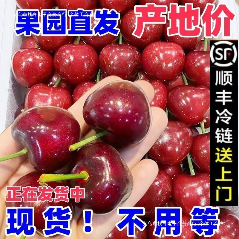 Cherry Special Large-Sized Cherry with Juicy Flesh Imported Cherry Fresh Fruit Wholesale Price