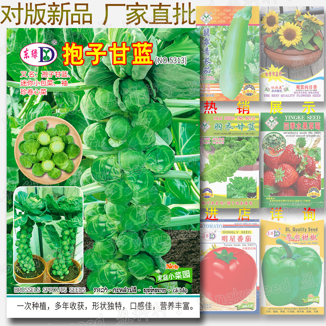 About 100 Brussels Sprout Seeds, Brussels Sprout Seeds, Vegetable Seeds, Purple Brussels Sprouts, Brussels Sprouts