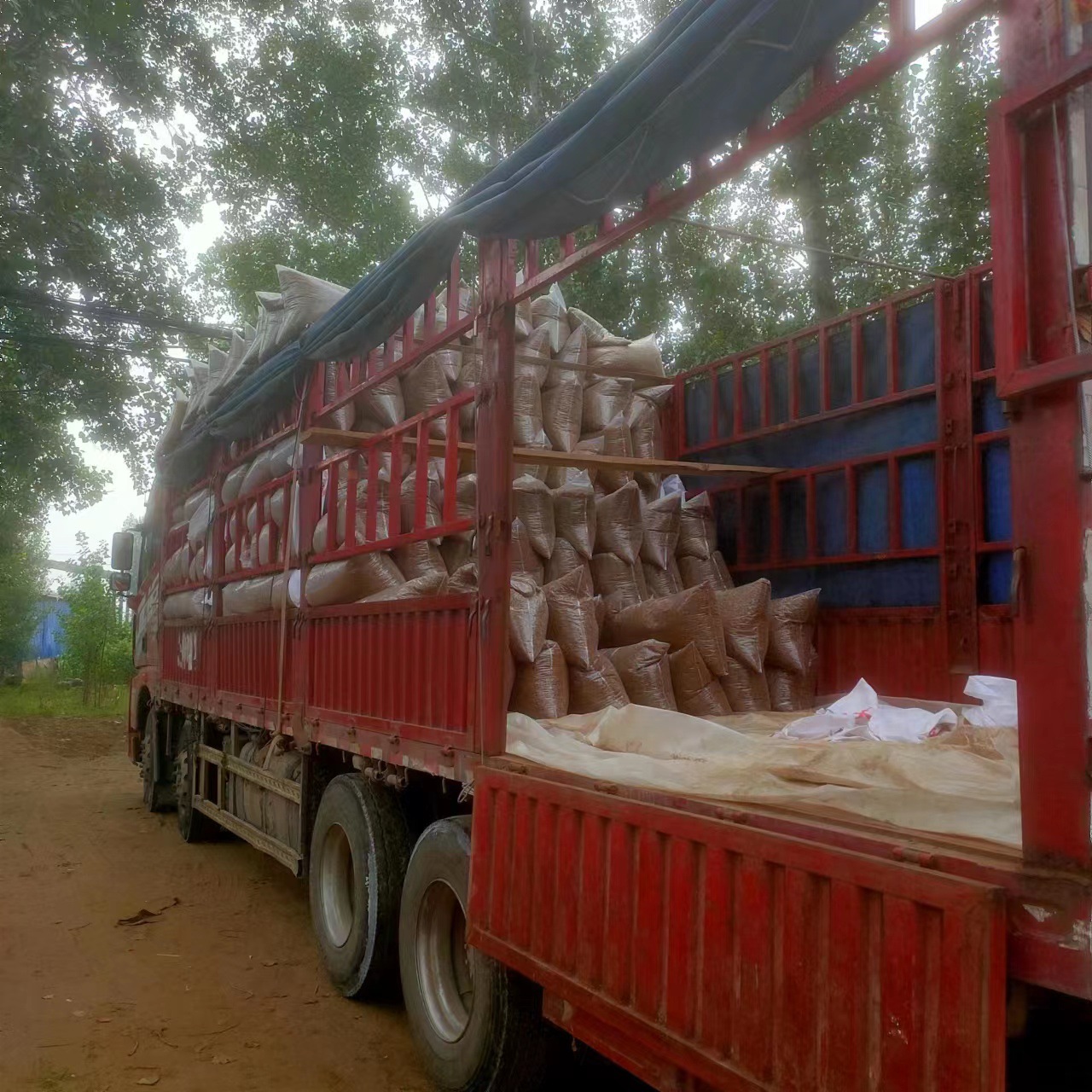 Wholesale Mealworms, Dried Yellow Mealworms, Direct from the Manufacturer, Pet Food, Hamster Snacks, Fish Food, Cat Food, Turtle Food