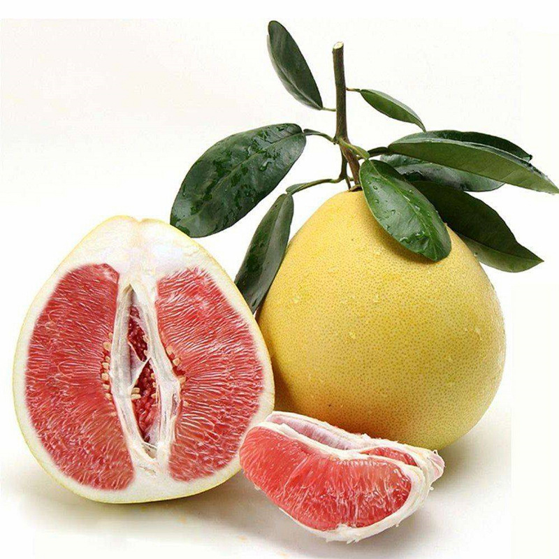 One-Piece Drop-Shipping Red Heart Pomelo Saplings for Northern and Southern Courtyard Greening with Soil and Extra-Large Fruit Potted Grafted Pomelo Saplings