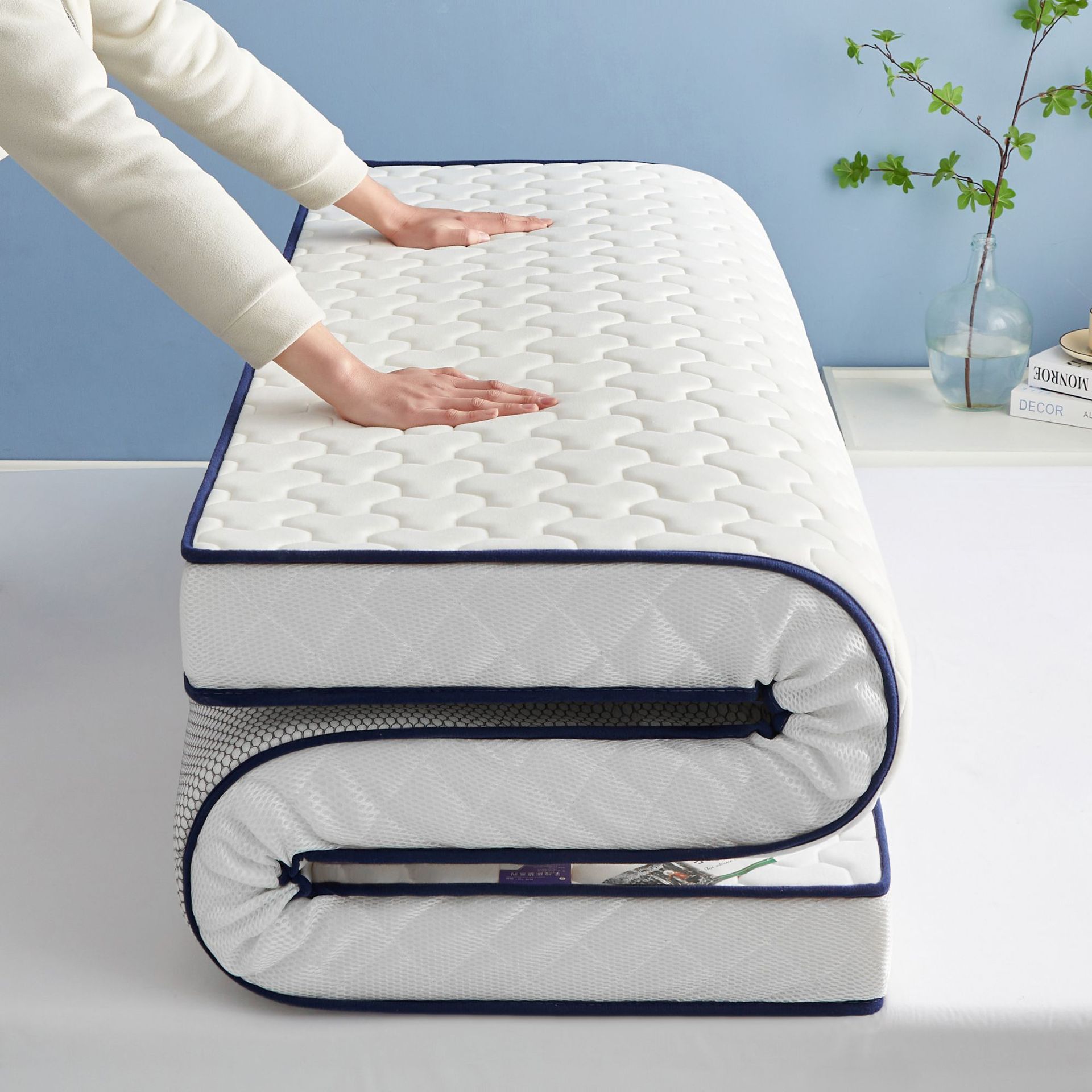 F Dormitory Floor Mat A-Grade Latex Mattress Pad Home Use Single and Double Tatami Thickened Student Soft Mat