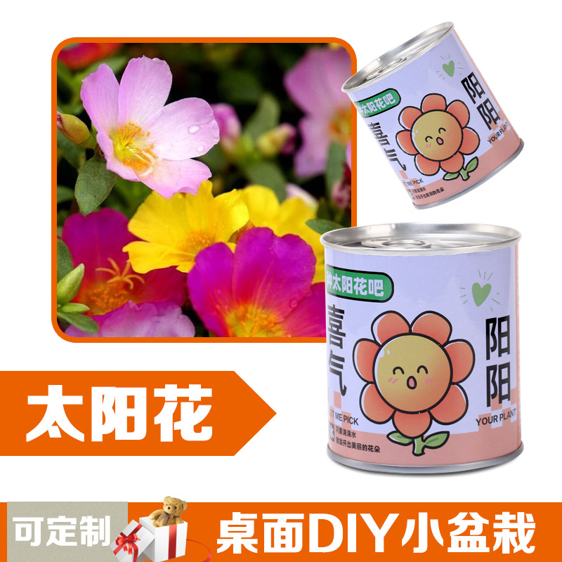 Children's Plant Canning Creative Small Potted Cultivation Desktop Mini Green Plant Strawberry Sunflower Planting Seed Blind Box