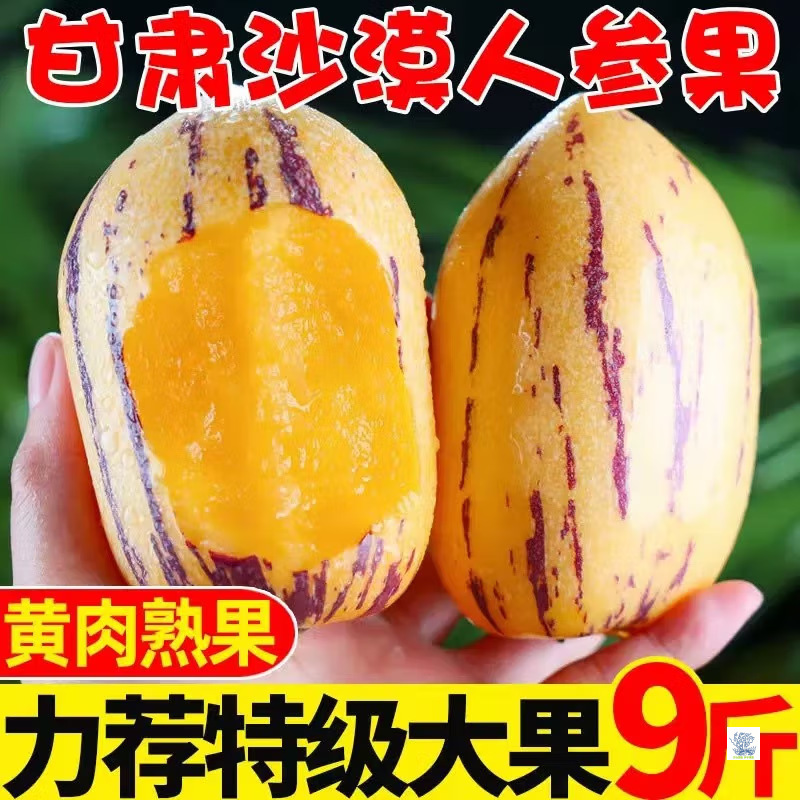 Гinseng Fruit из пустыни Минцин, Ганьсу 4.5кг сезонные свежие фрукты с желтой мякотью, оптовая продажа для беременных