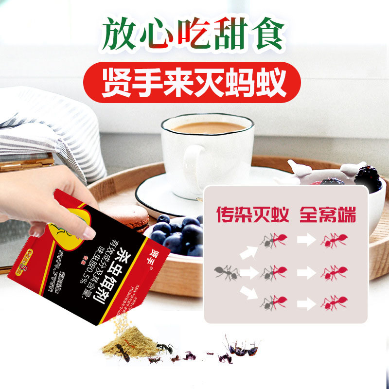 Ant Medicine to Kill Ants, Clear and Repel Ants, Powder Chain-Killing Ant Bait, Household Indoor and Outdoor Kitchen Wholesale Delivery 5g