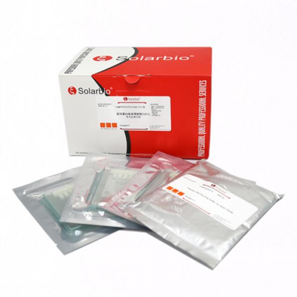 Pg01015-S Предварительно отлитый гель Денатурированный белок 10%, 15 ячеек Двойной контроль качества