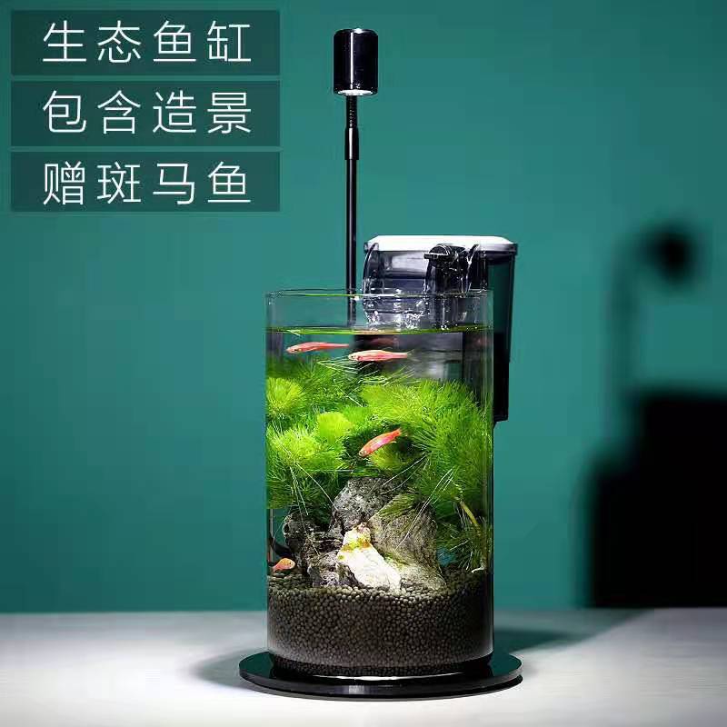 Round acrylic led micro landscape lamp Moss lamp plant lamp water plant lamp amphibious cylinder succulent fish tank lamp